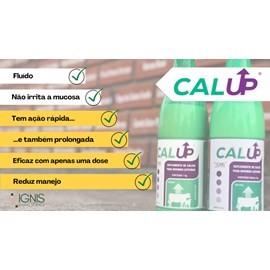 Calup - Ignis Animal Science