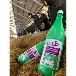 Calup - Ignis Animal Science
