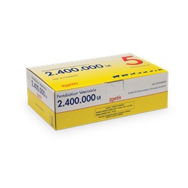 Pentabiótico Veterinário 2.400.000 UI - Anti-infeccioso Injetável - 7 ml - Zoetis
